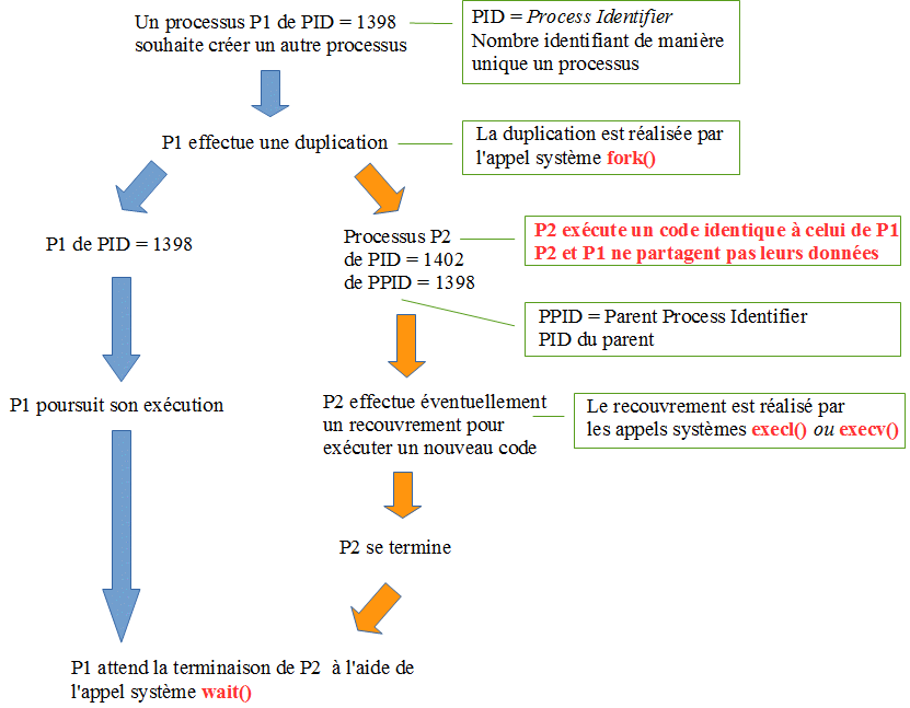 Cycle de vie d'un processus